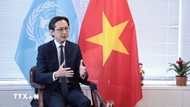 Vietnam values growing ties with Japan: diplomat